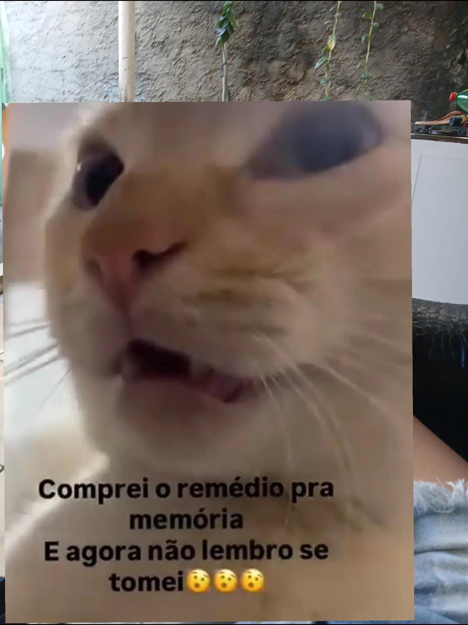 @humor da C&eacute;lia 🤣