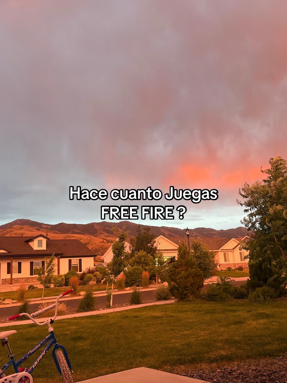@𝐿𝒵𝑅 𝒫𝐸𝒫𝐼𝒩𝒪 🥒