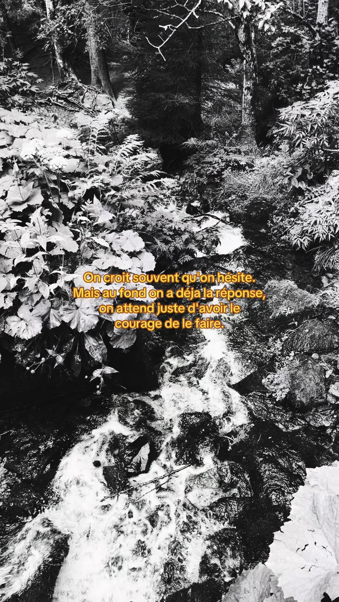 @C&oelig;ur Noir