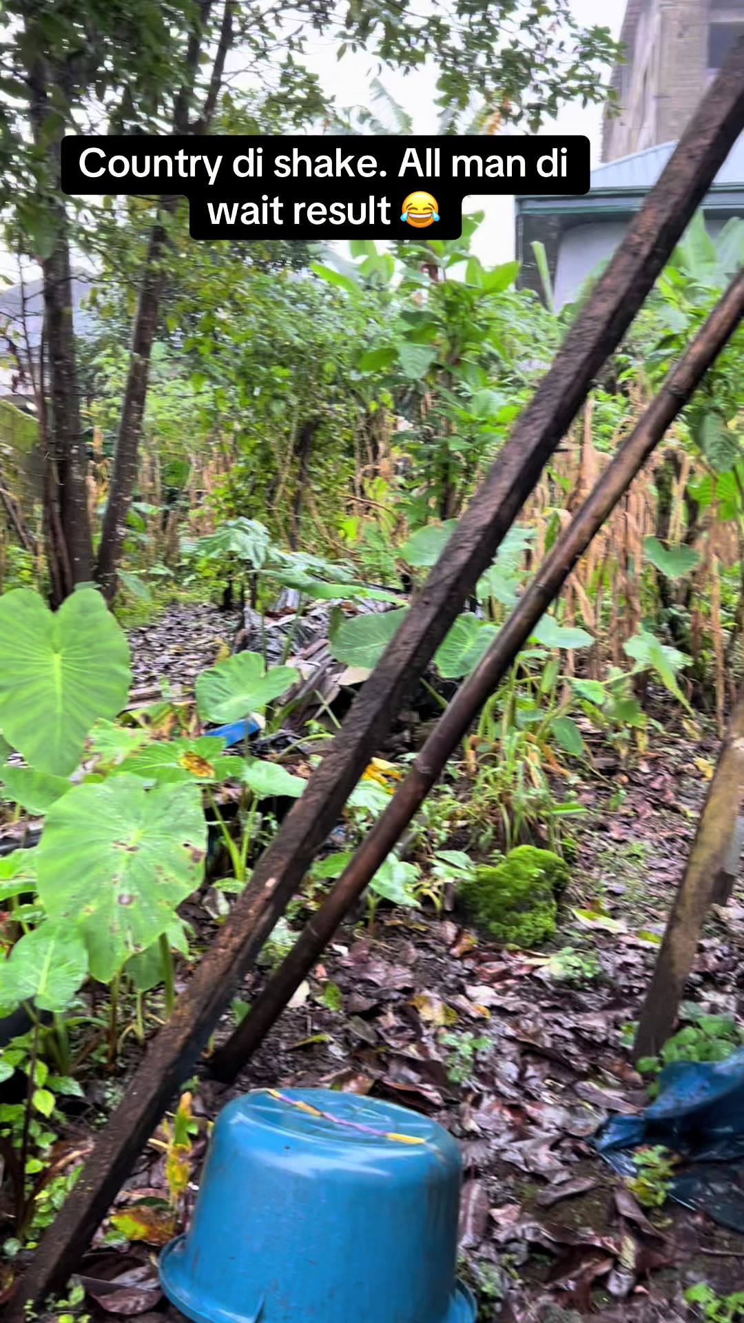 @mamiprecious