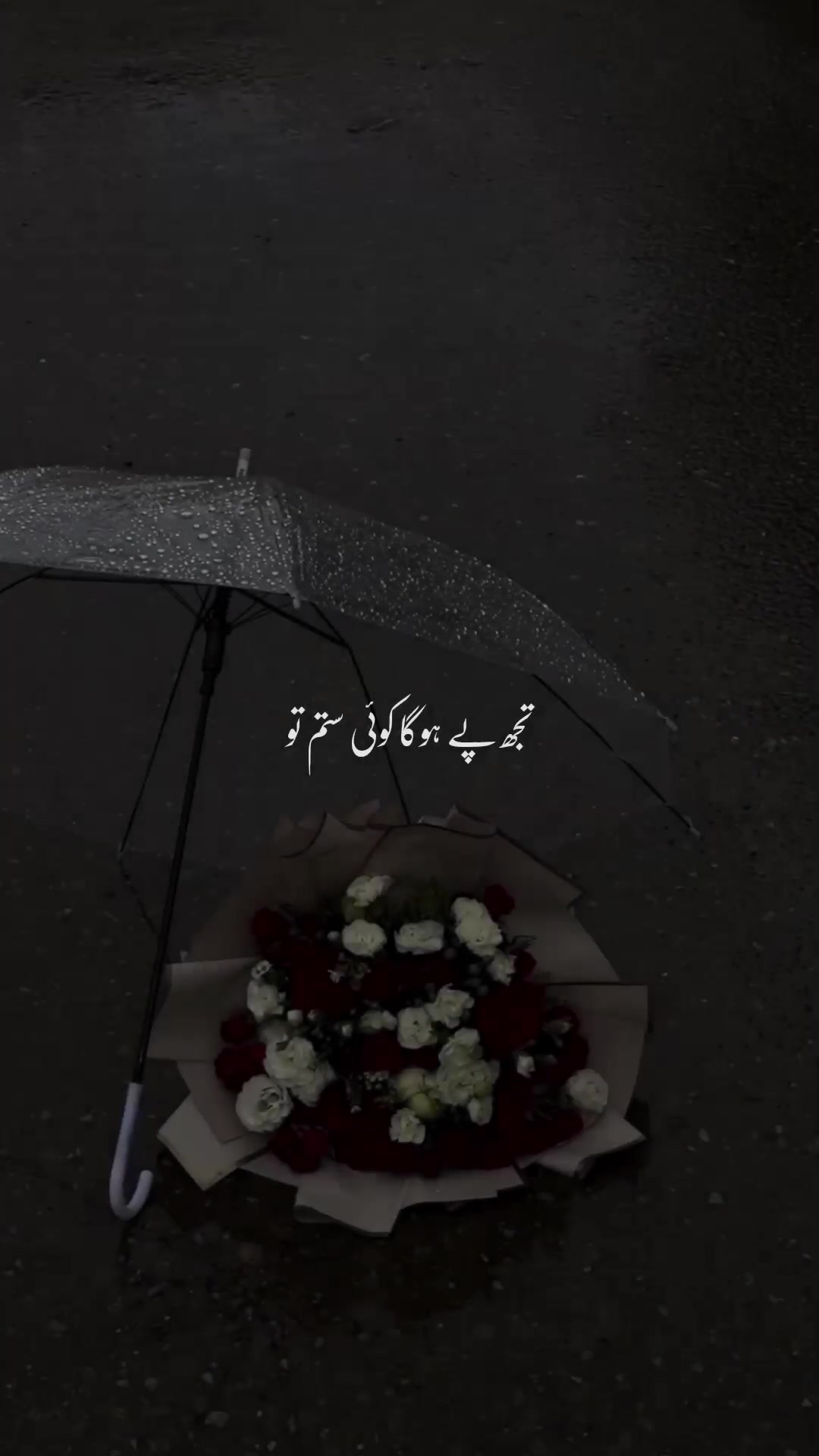 @𝘼 𝙇 𝙄 🚩