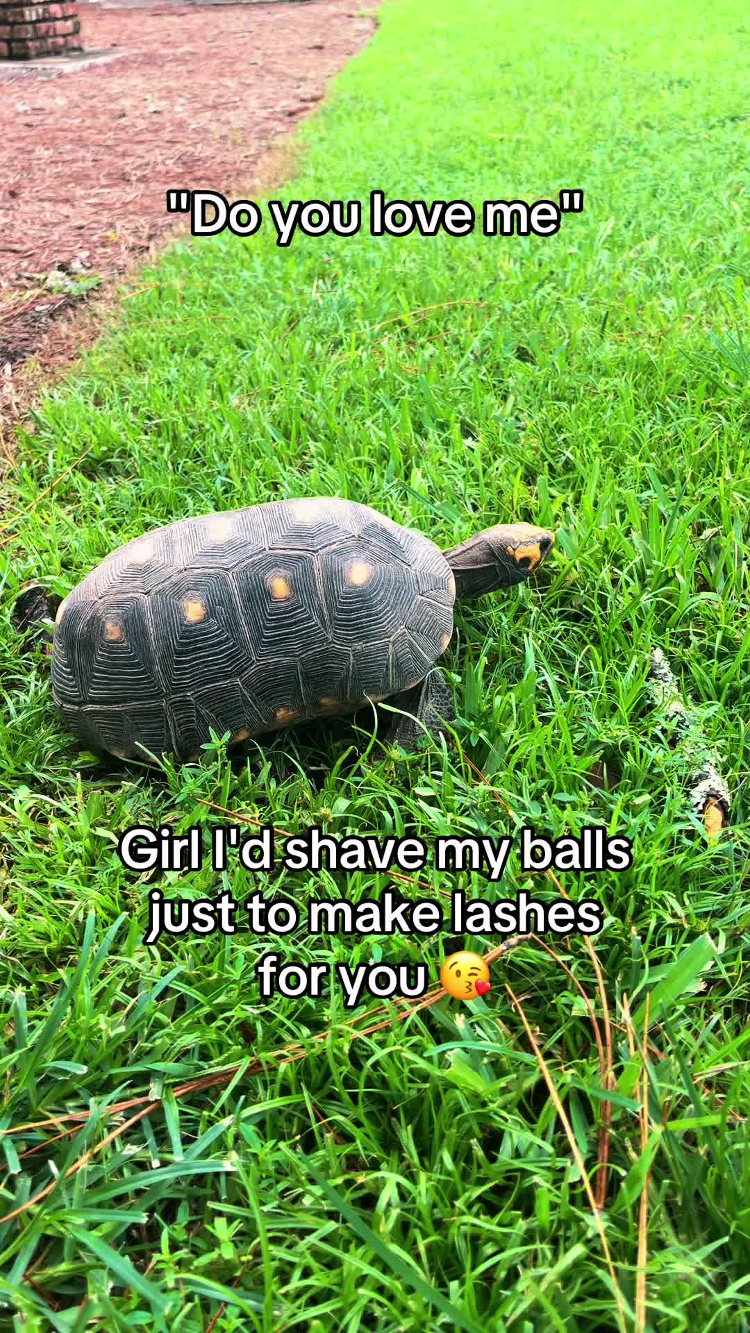 @DailyFuggery