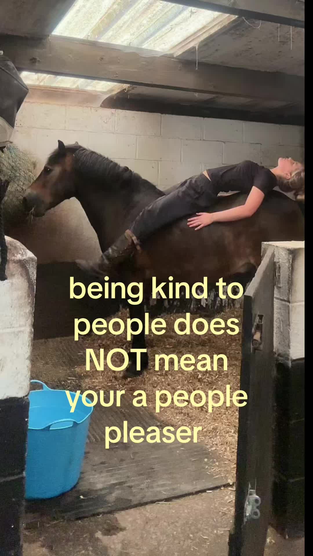 @grace 🦕