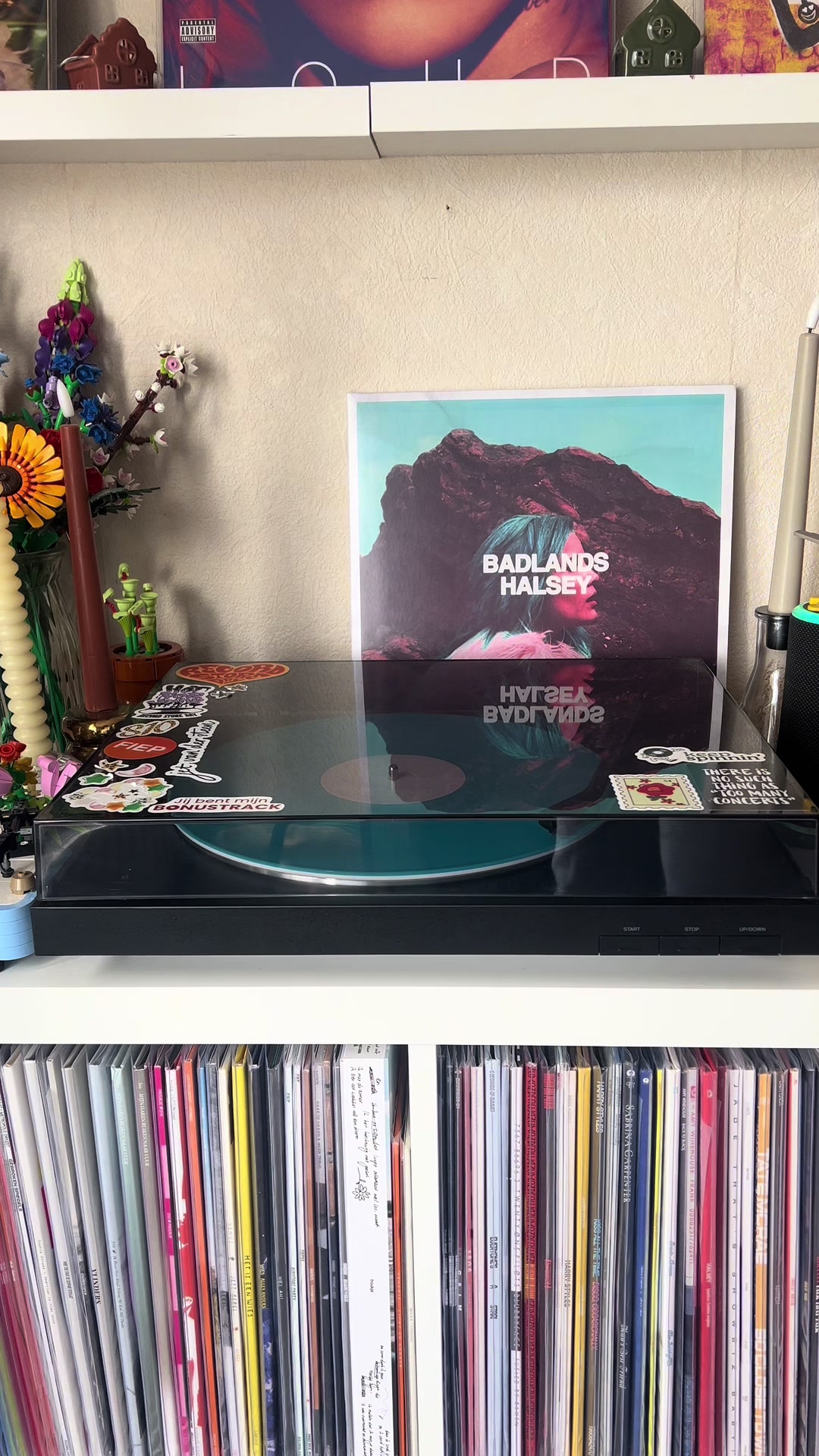@Rolien || Vinyl & Records