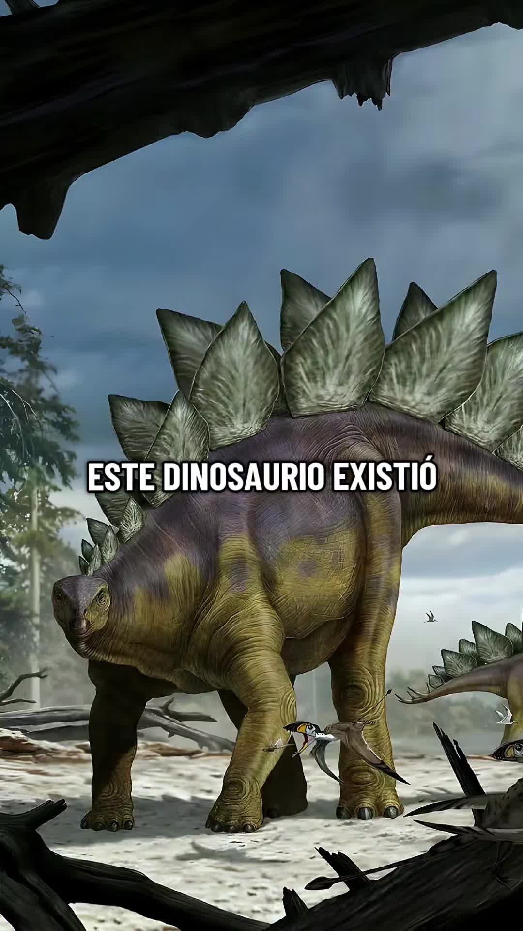 @Viva Historia
