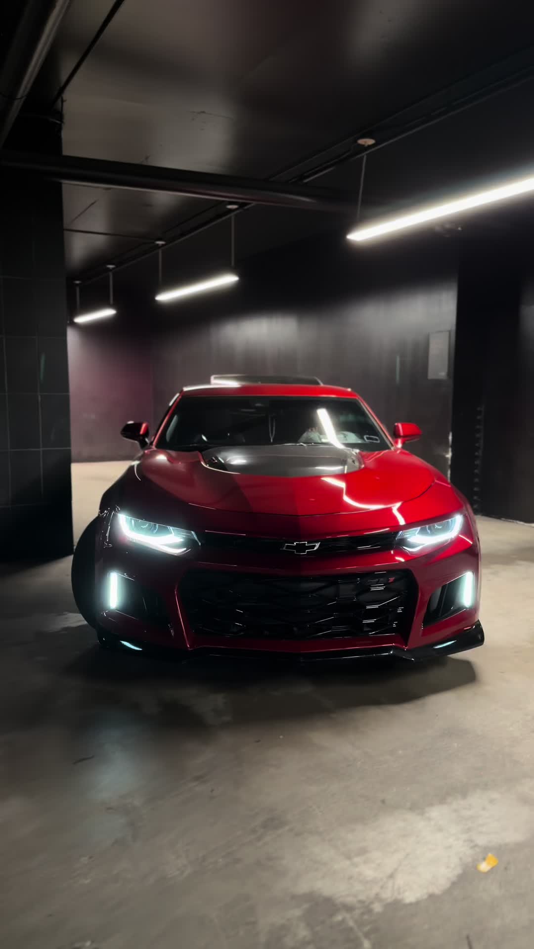 @reza.zl1