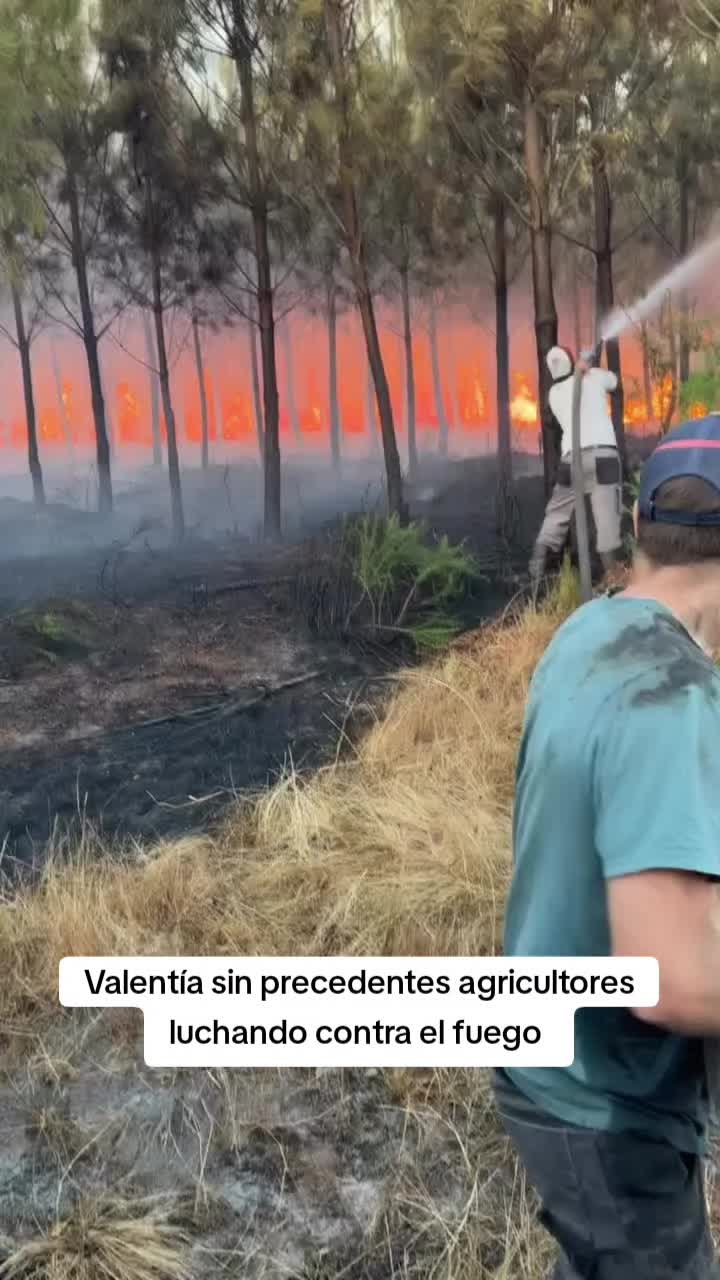 @javiersanchezlibra