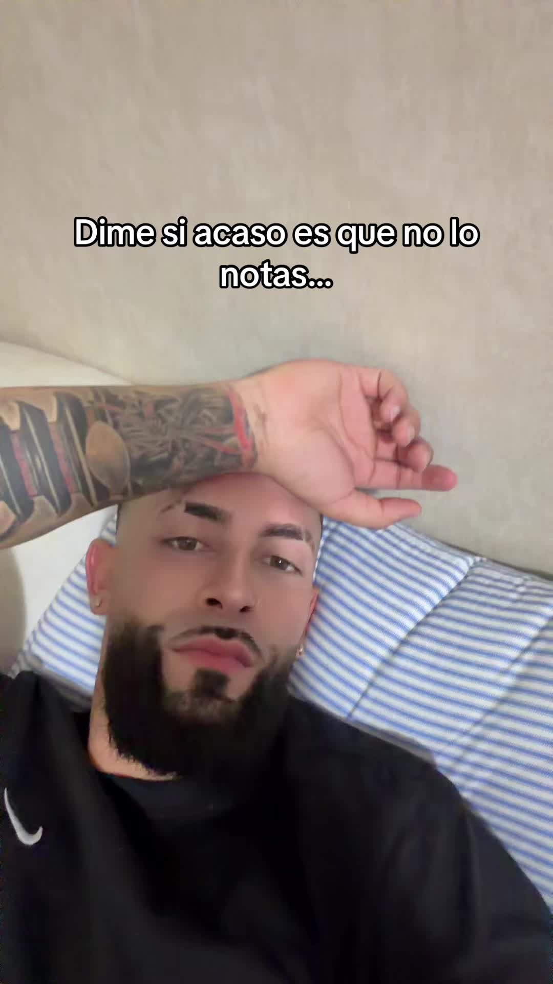 @elbori578🇵🇷