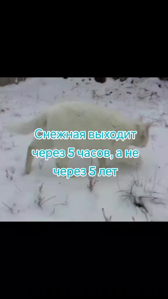 @-Nezerit★-