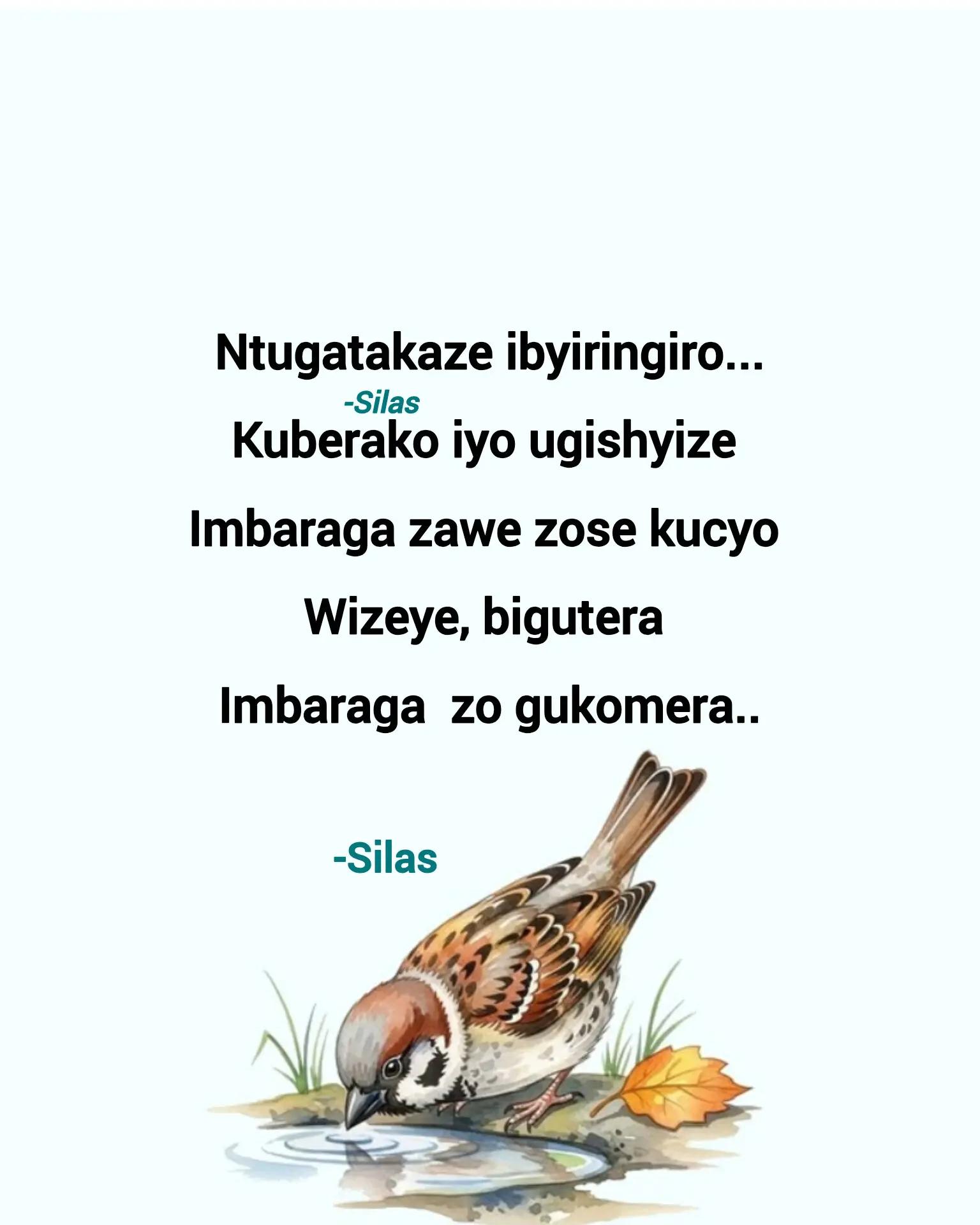 @Silas Nizeyimana