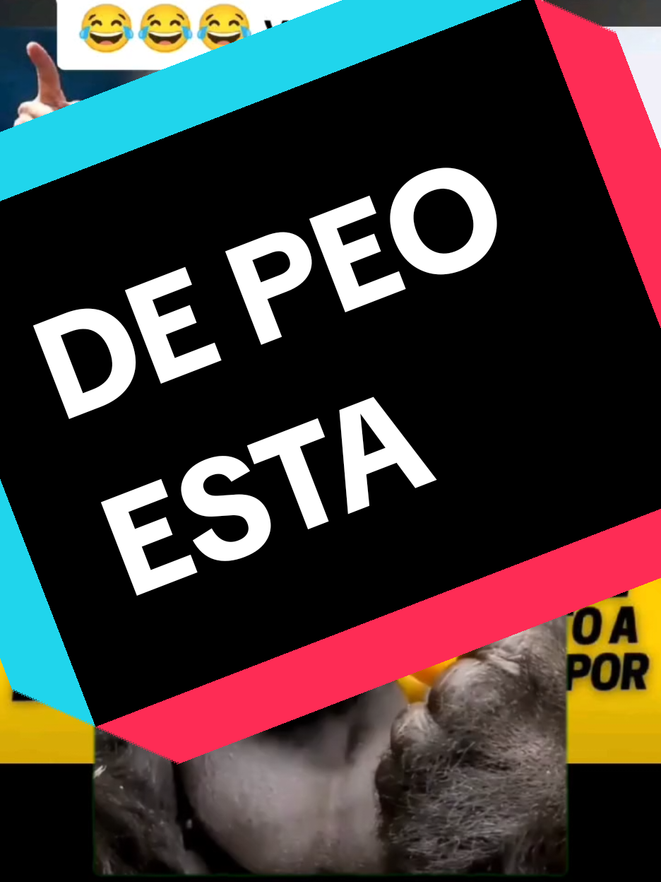@CHOMPIRO50