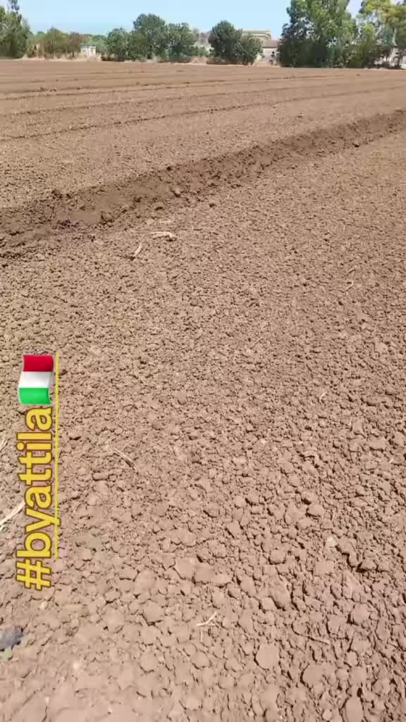 @ATTILA🇮🇹
