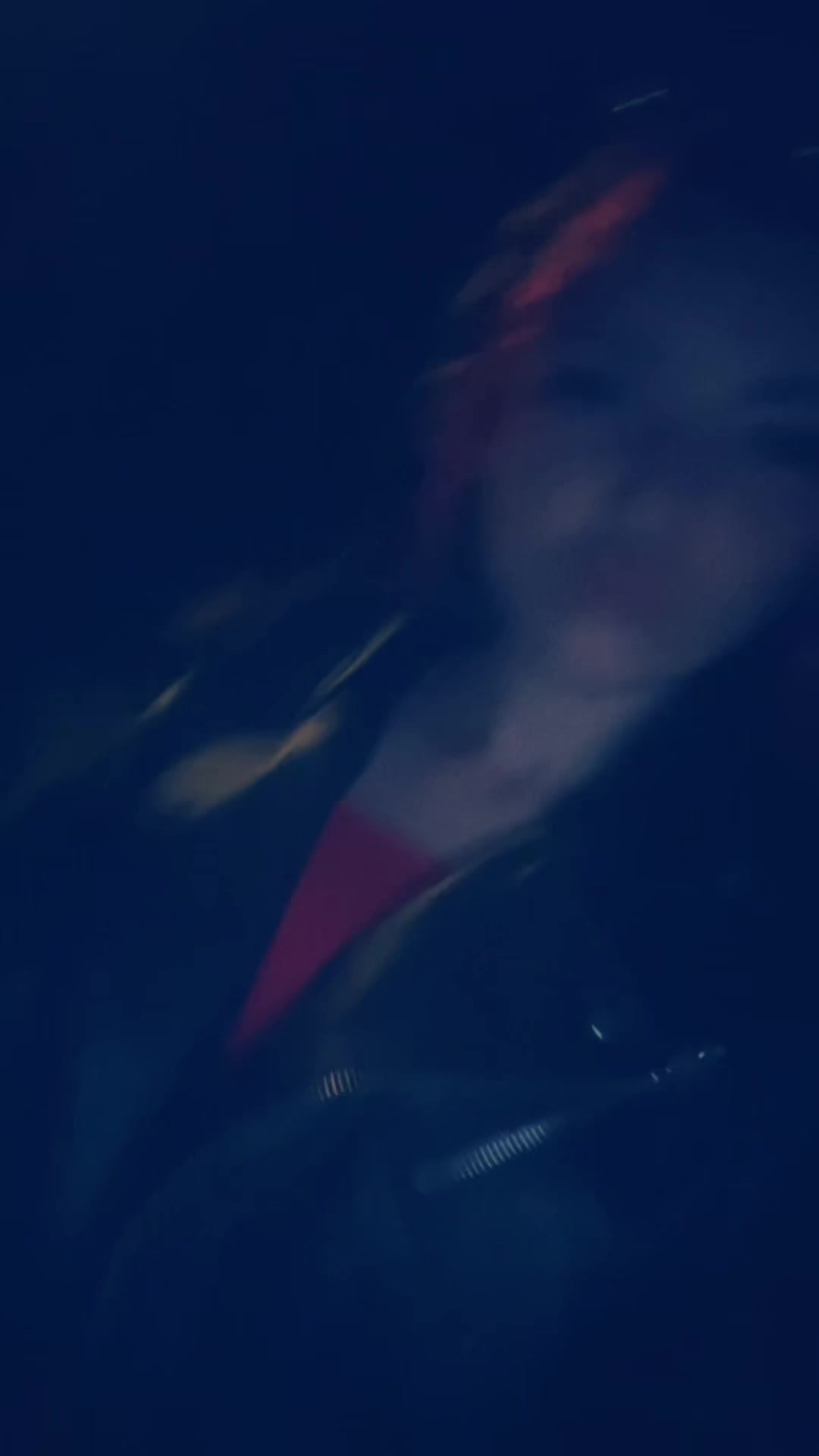 @angii_aux