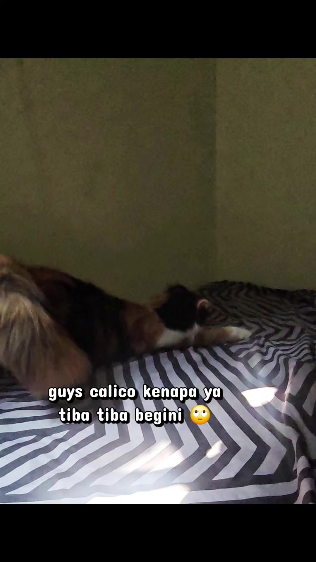 @kuro.bocil.gosong