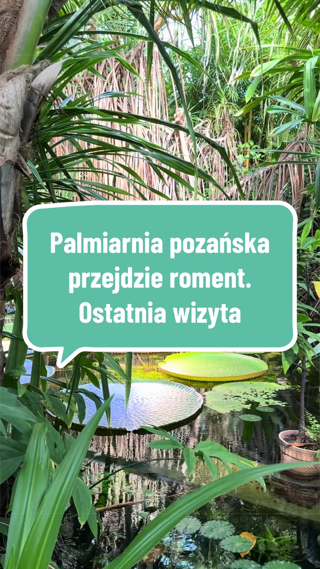 @maciej.plants