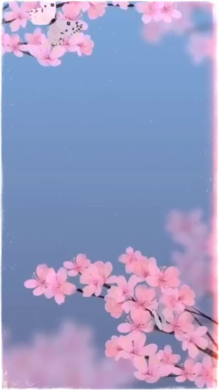 @cinziaperin65