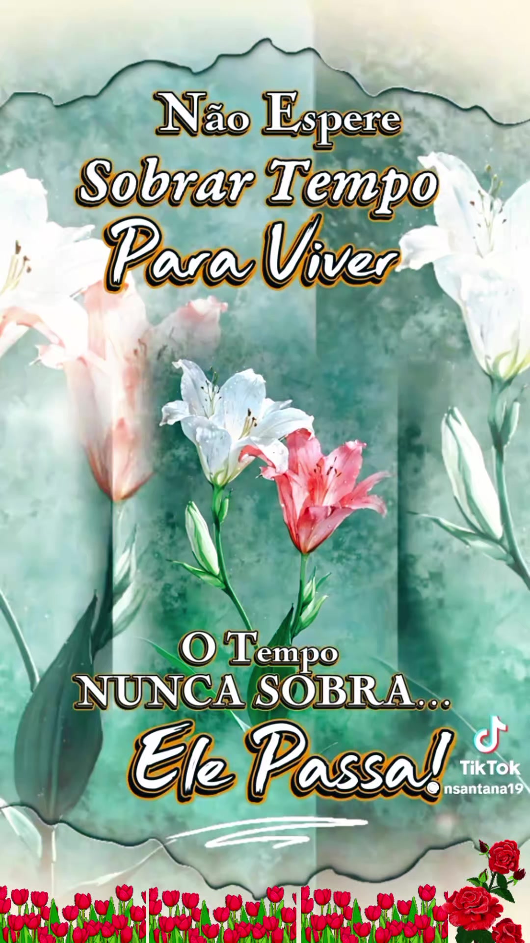 @Jos&eacute; Carlos