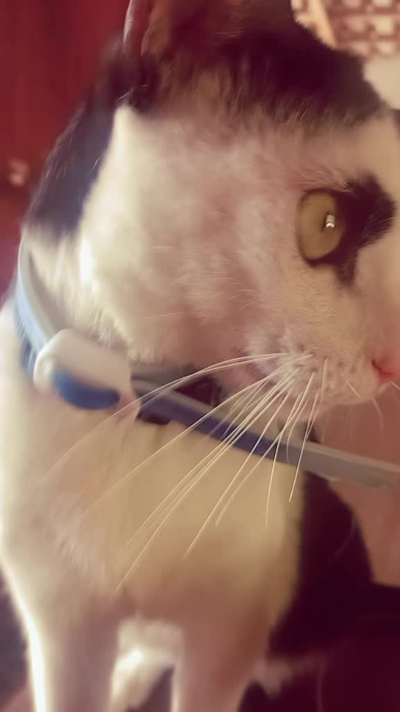 @ᕠう`🤌`    𝓨uki_𝓼tarִ ✂️