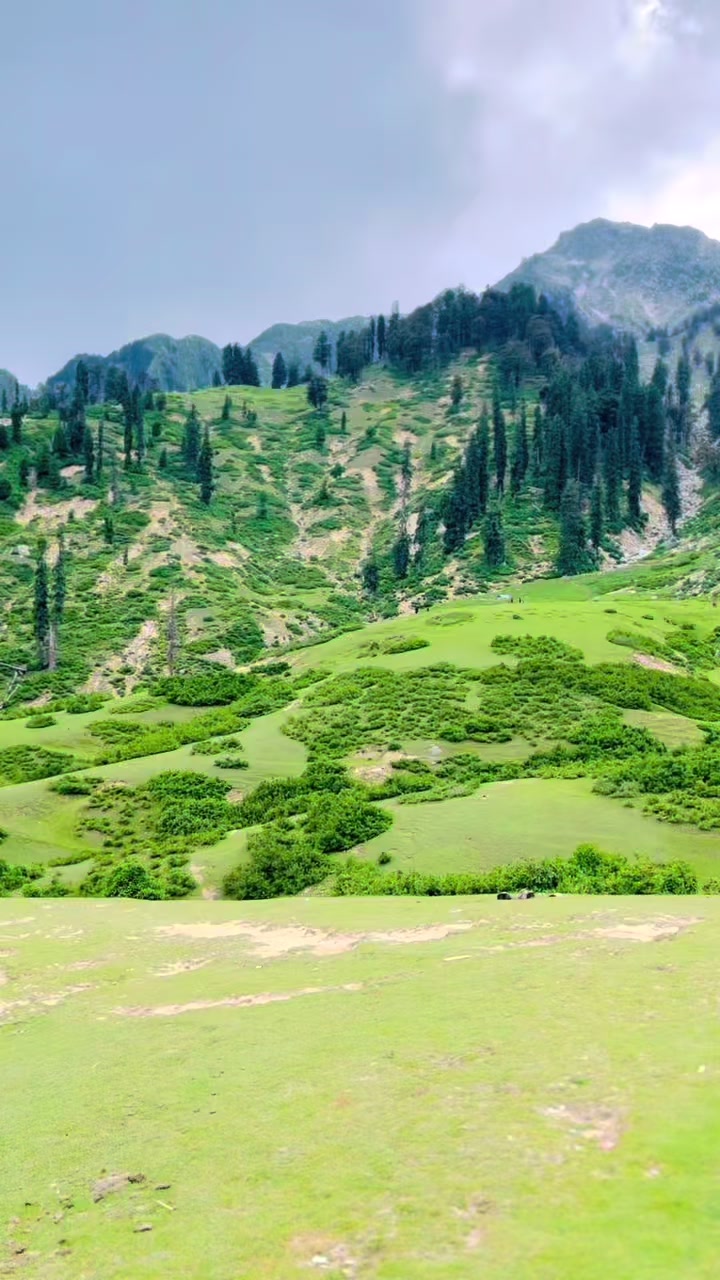@dawoodswati000