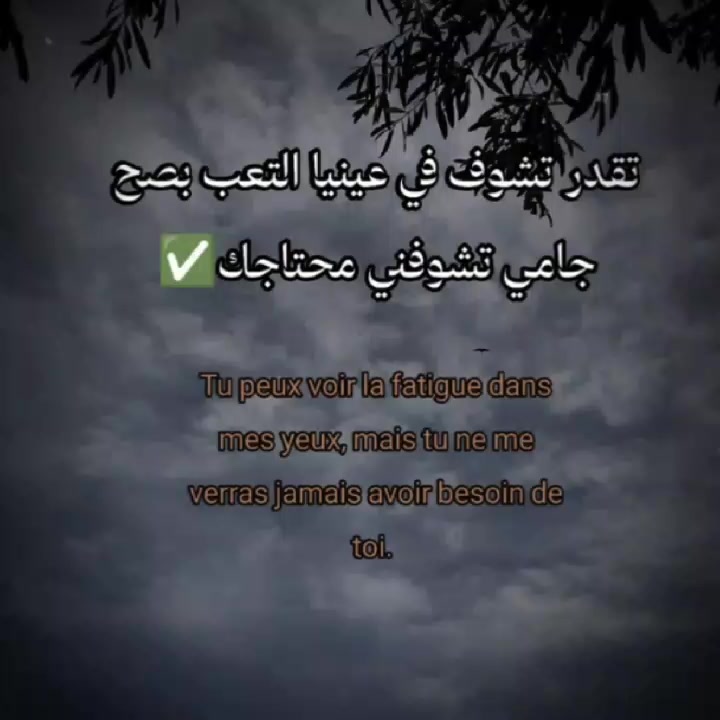 @🖤توفيـﮯق / toufik💫