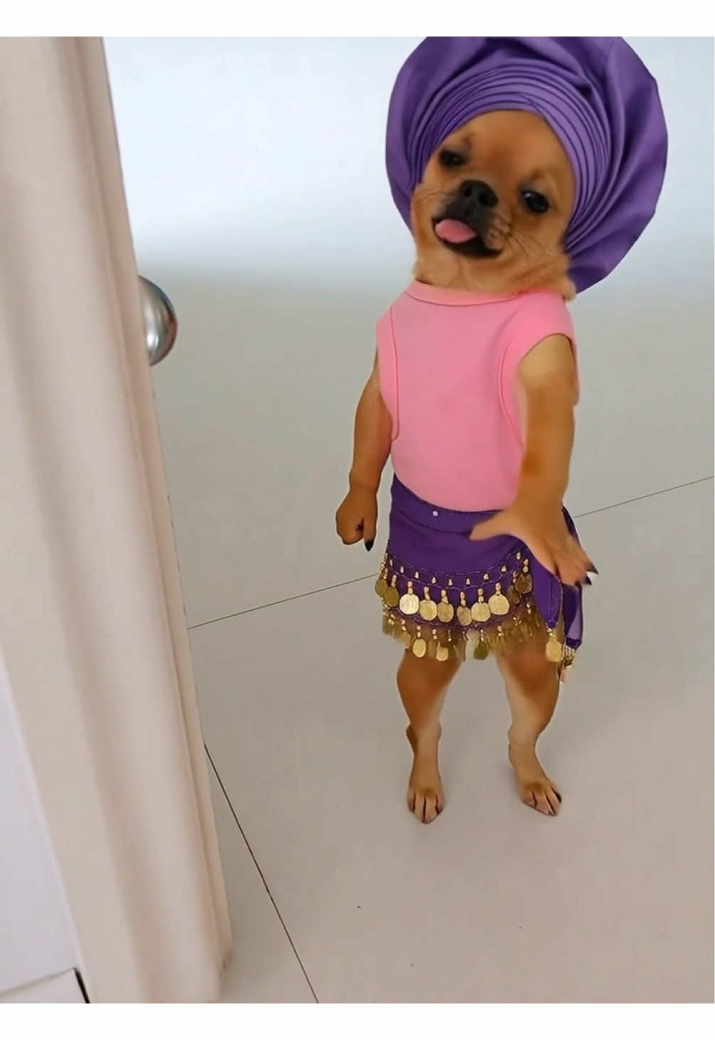 @Pawty