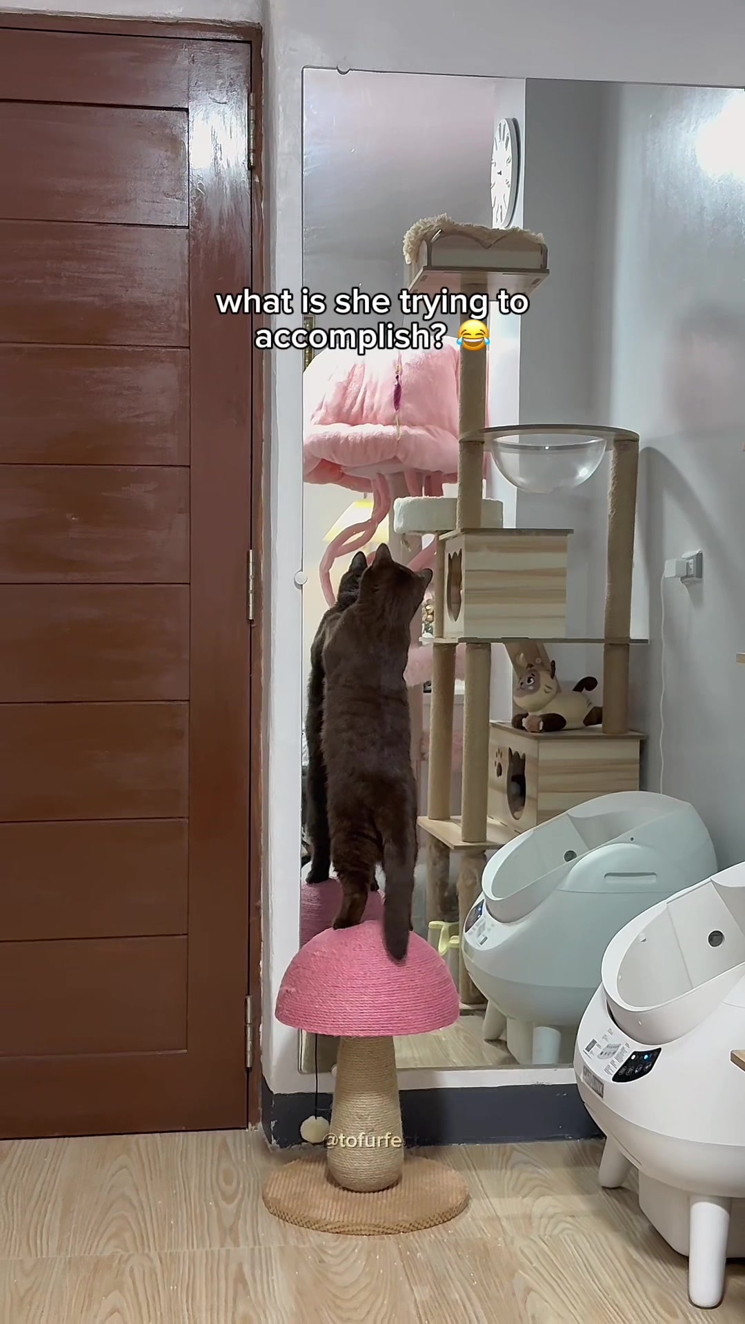 @TOFU