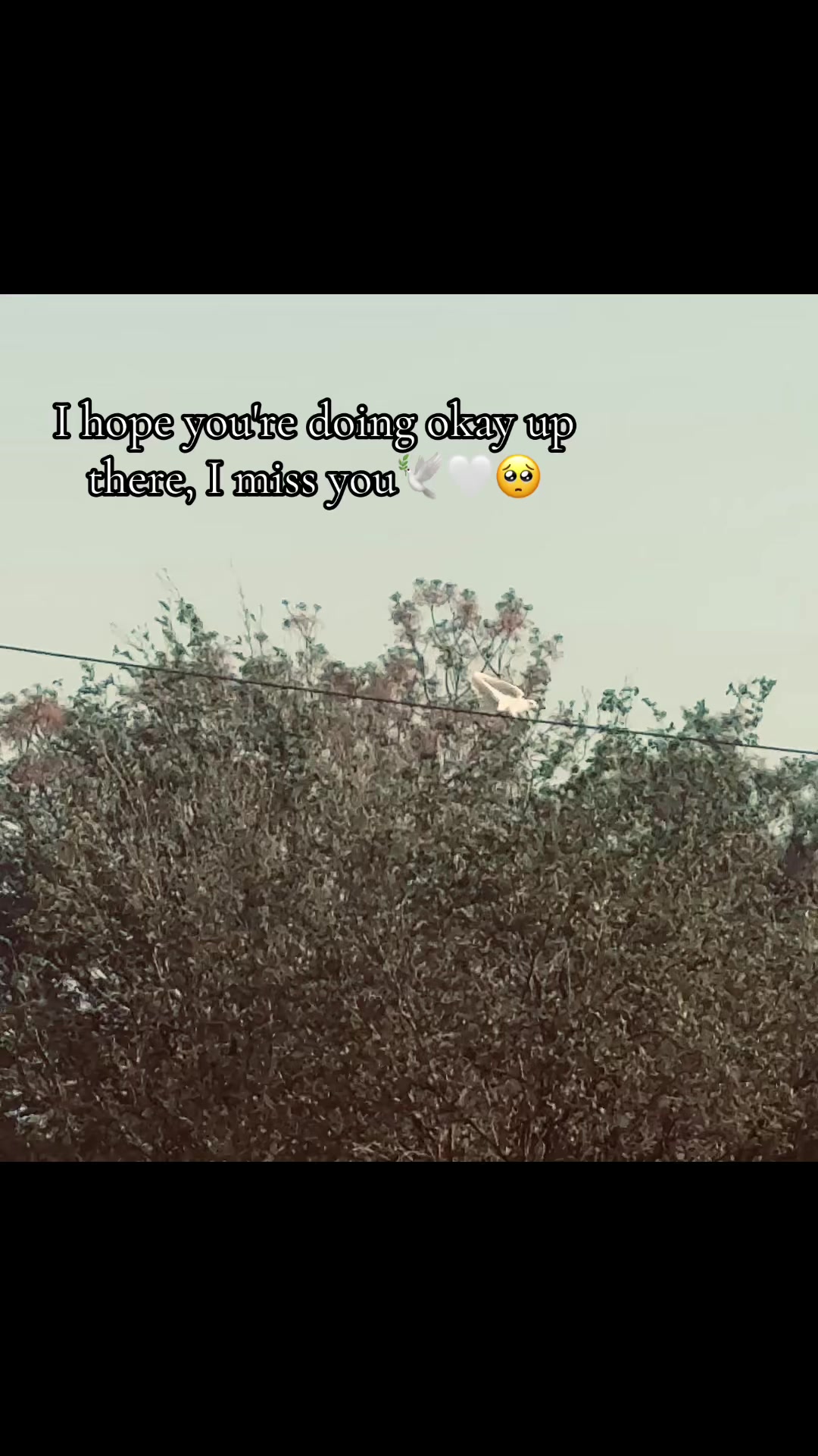 @Lina_Babe♡