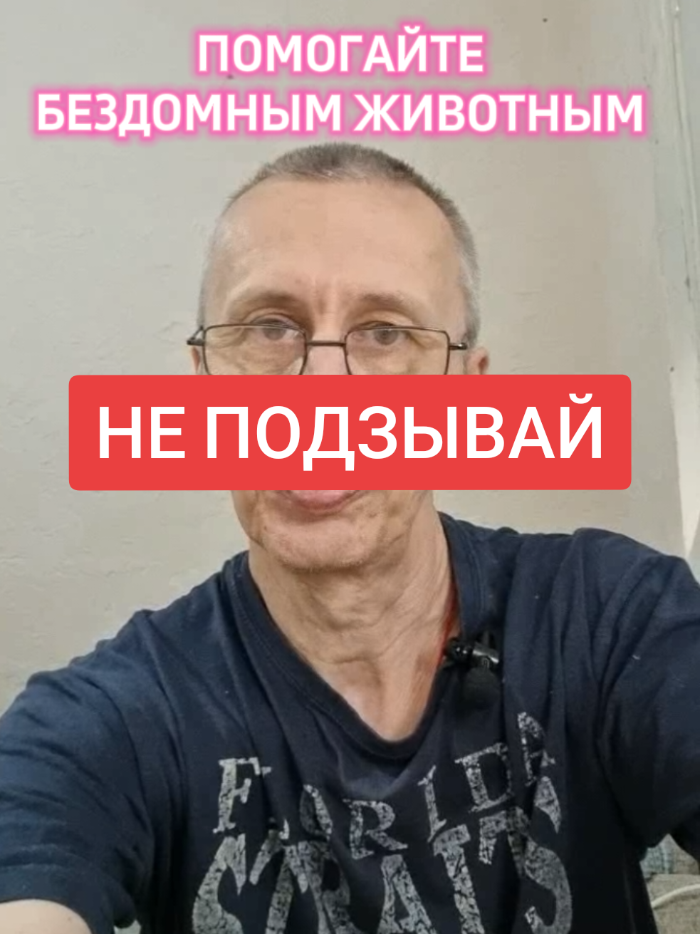 @КОТЫ СОБАКИ И ФИЛОСОФ