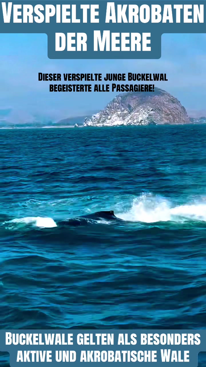 @Masud MaRo73