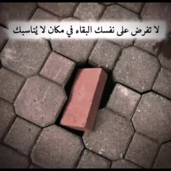 @🖤توفيـﮯق / toufik💫