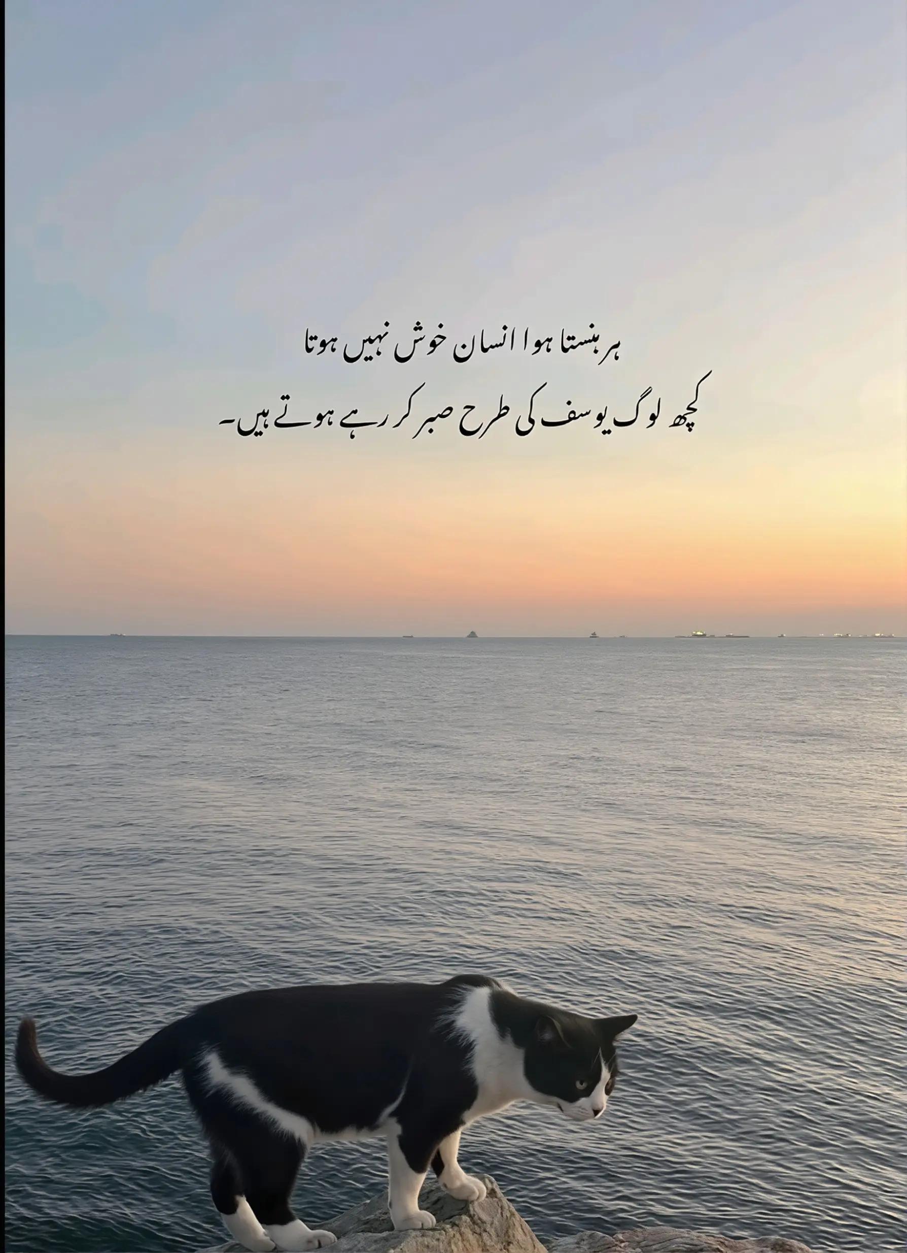 @AQIB MALIK🍃📖💫