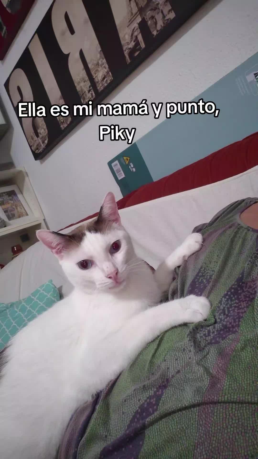 @Bernardette