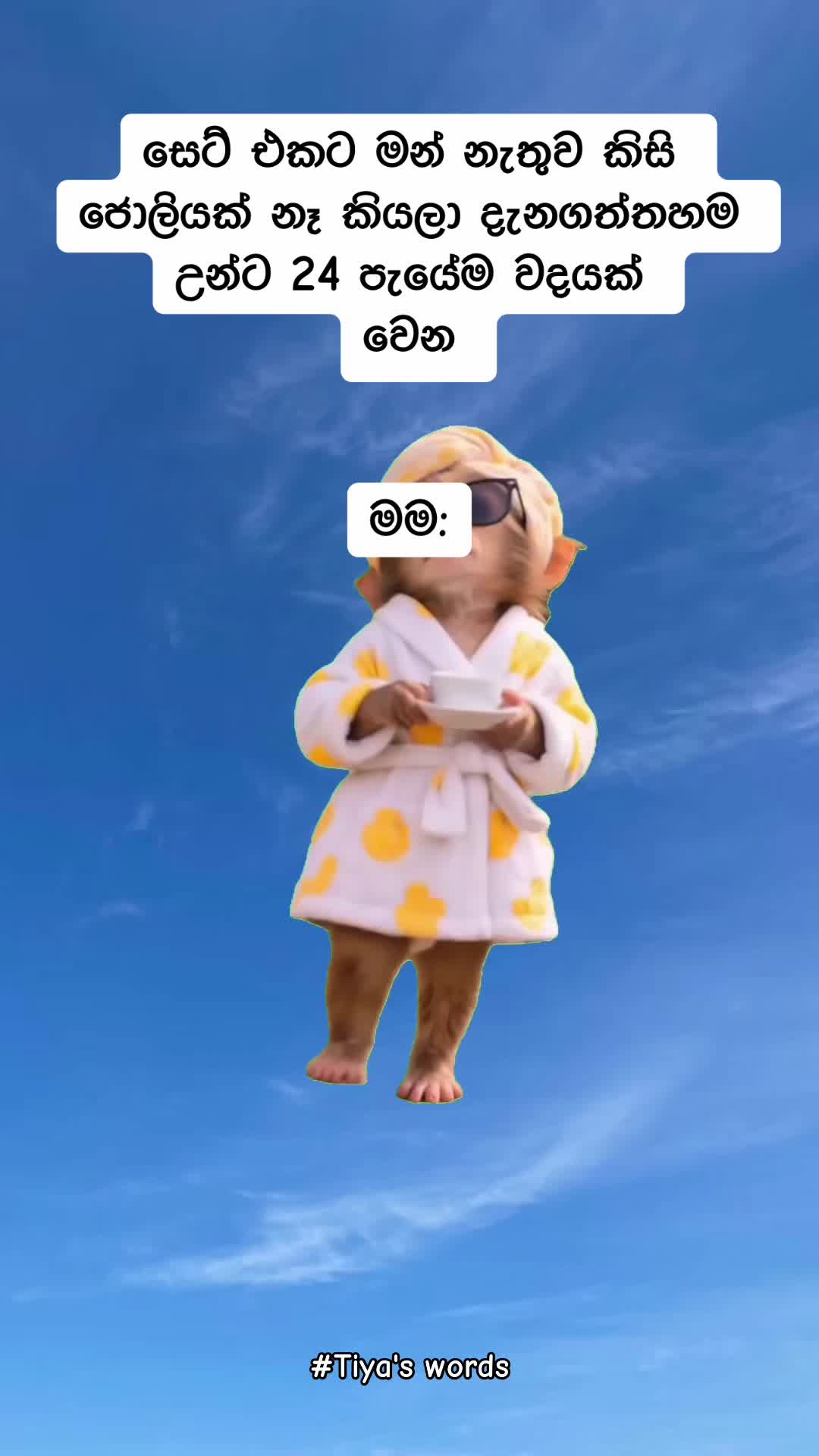 @🎀