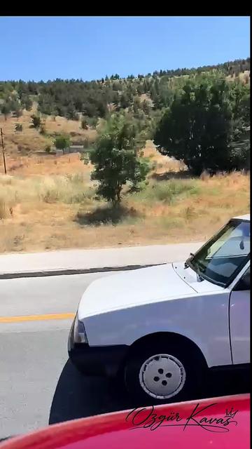 @Özgür Kavas