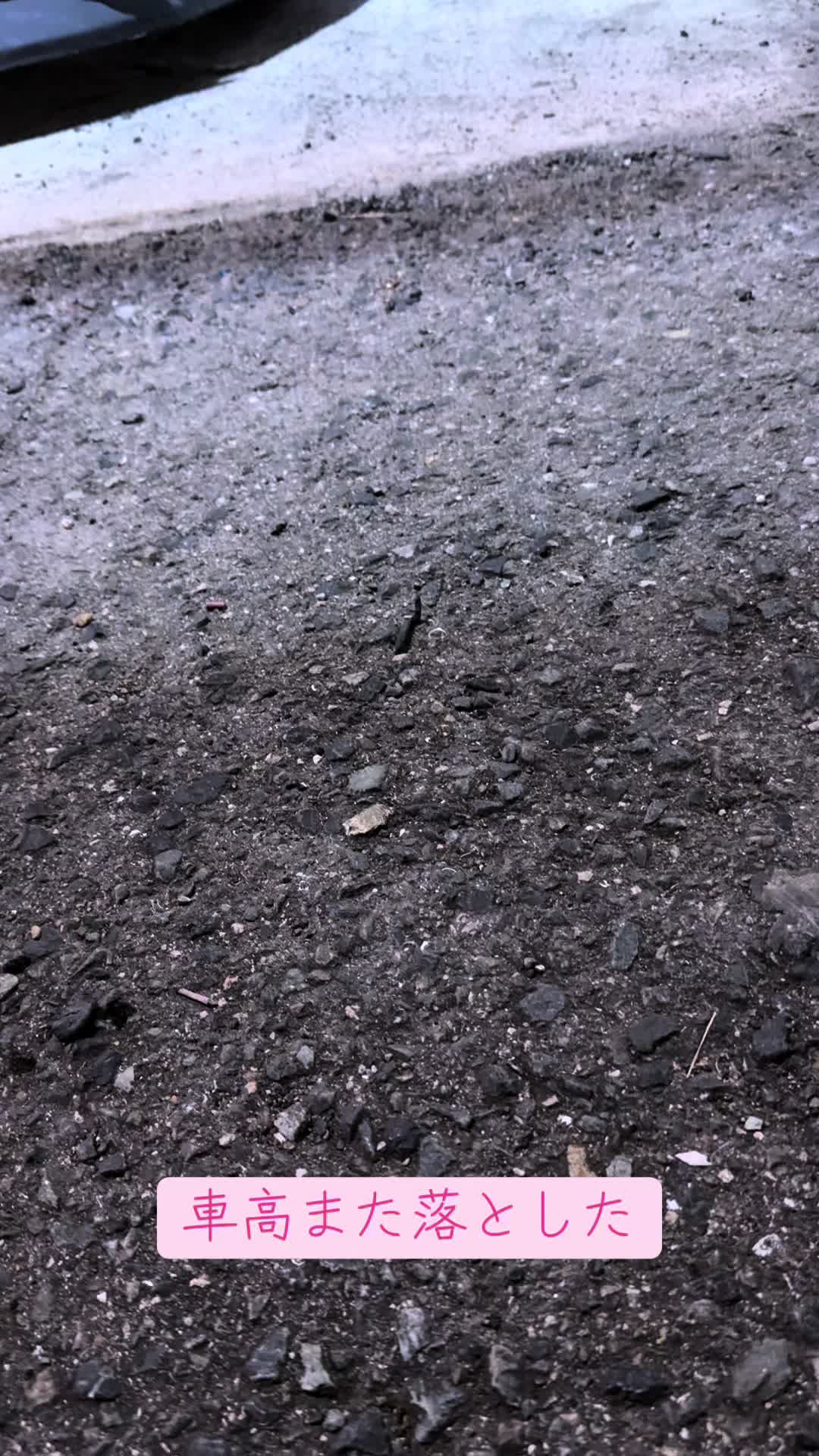 @軽トラ野郎