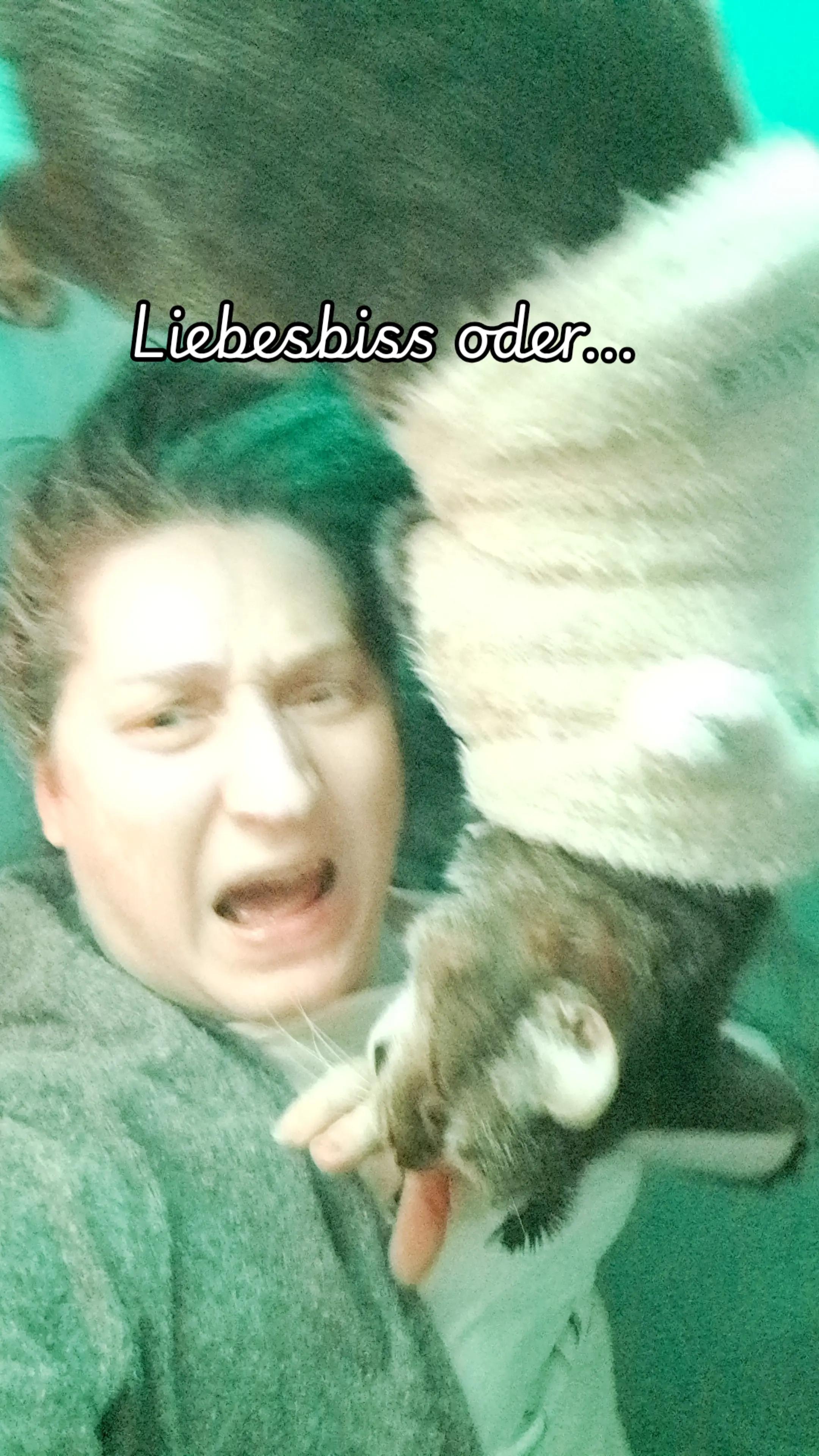 @RapunzelAndrea