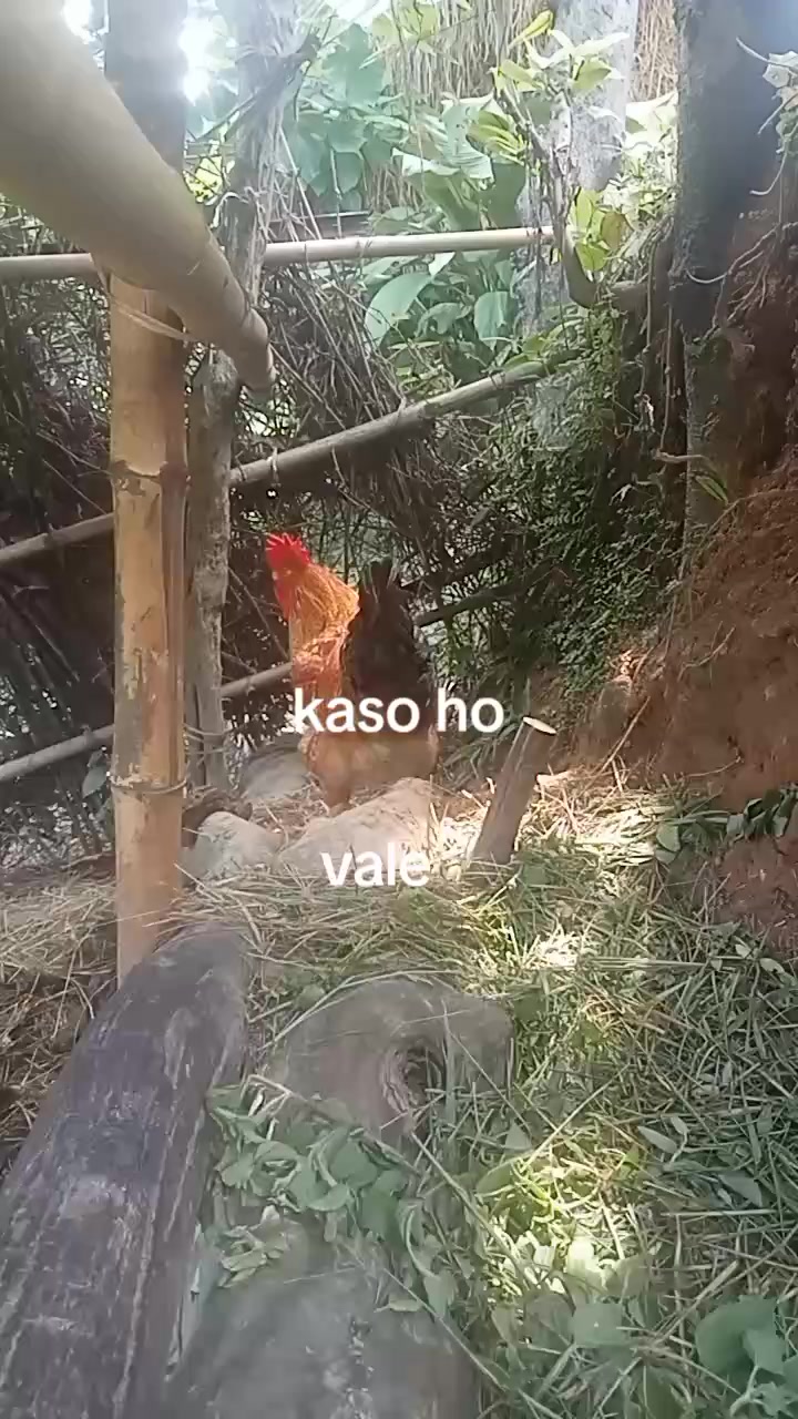 @Pradip Khatri