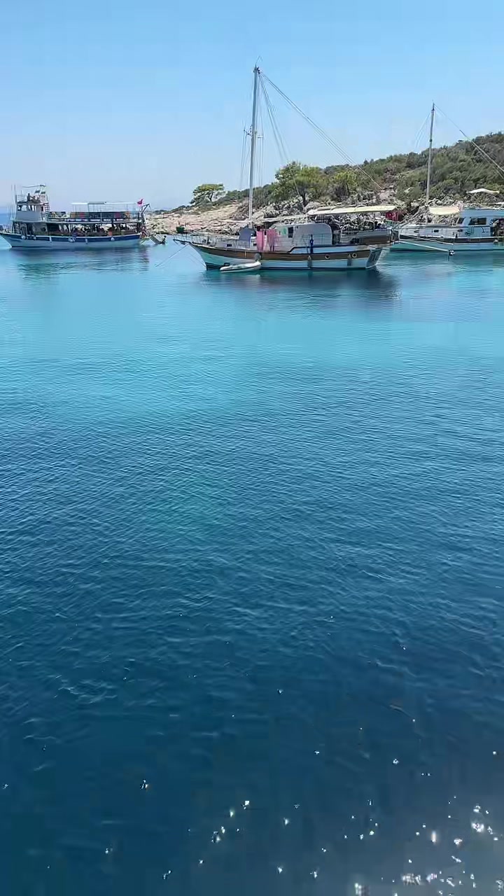 @&Ouml;ZCAN 4217