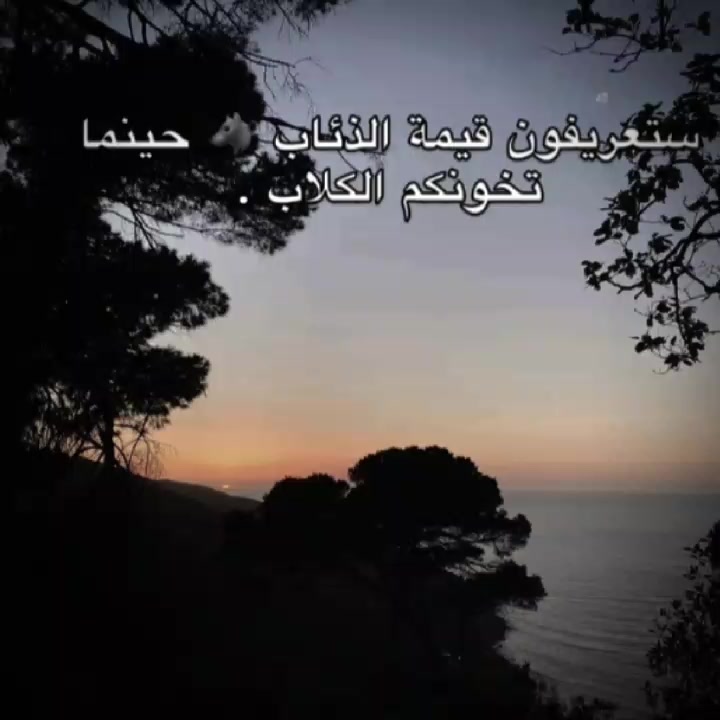 @🖤توفيـﮯق / toufik💫