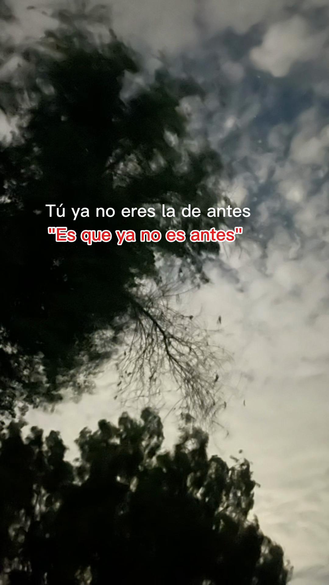 @alvarezsolorzanok