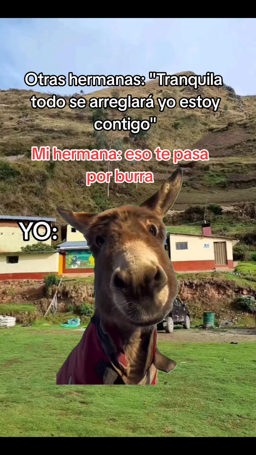 @Fanny Quispe❤️