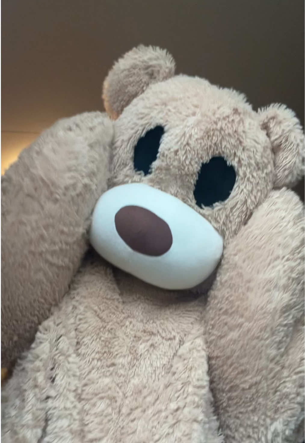 @teddytok