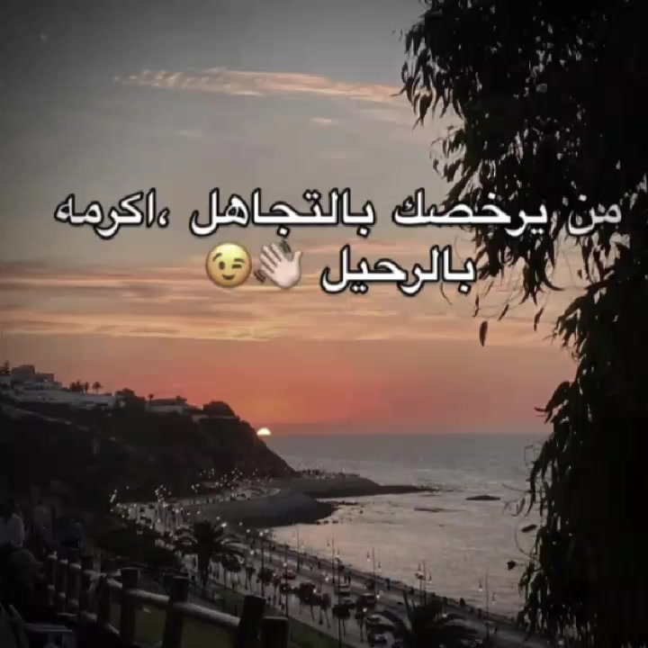 @🖤توفيـﮯق / toufik💫