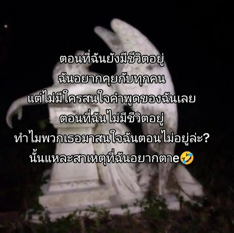 @kenken👣