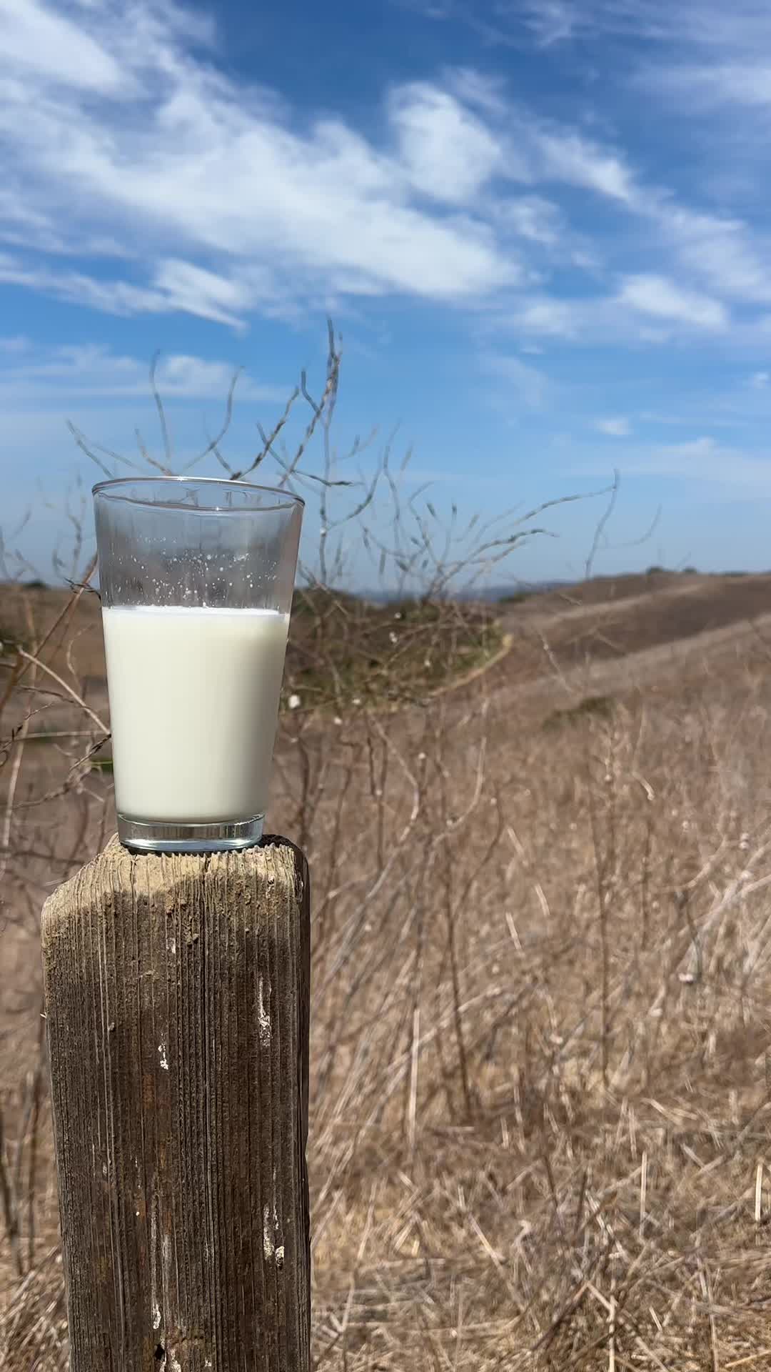 @Milk
