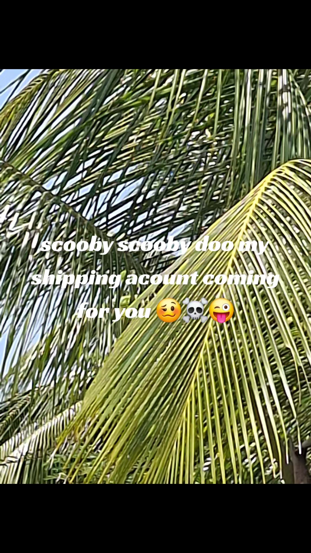 @shipping_account.su