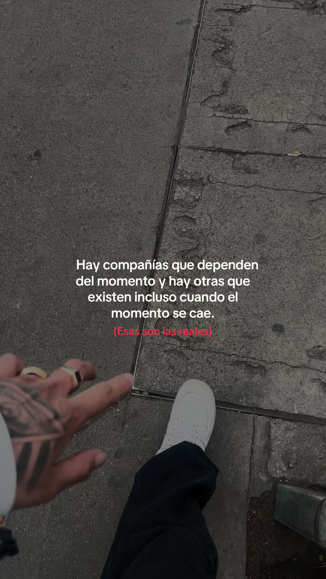 @cele&oacute;n