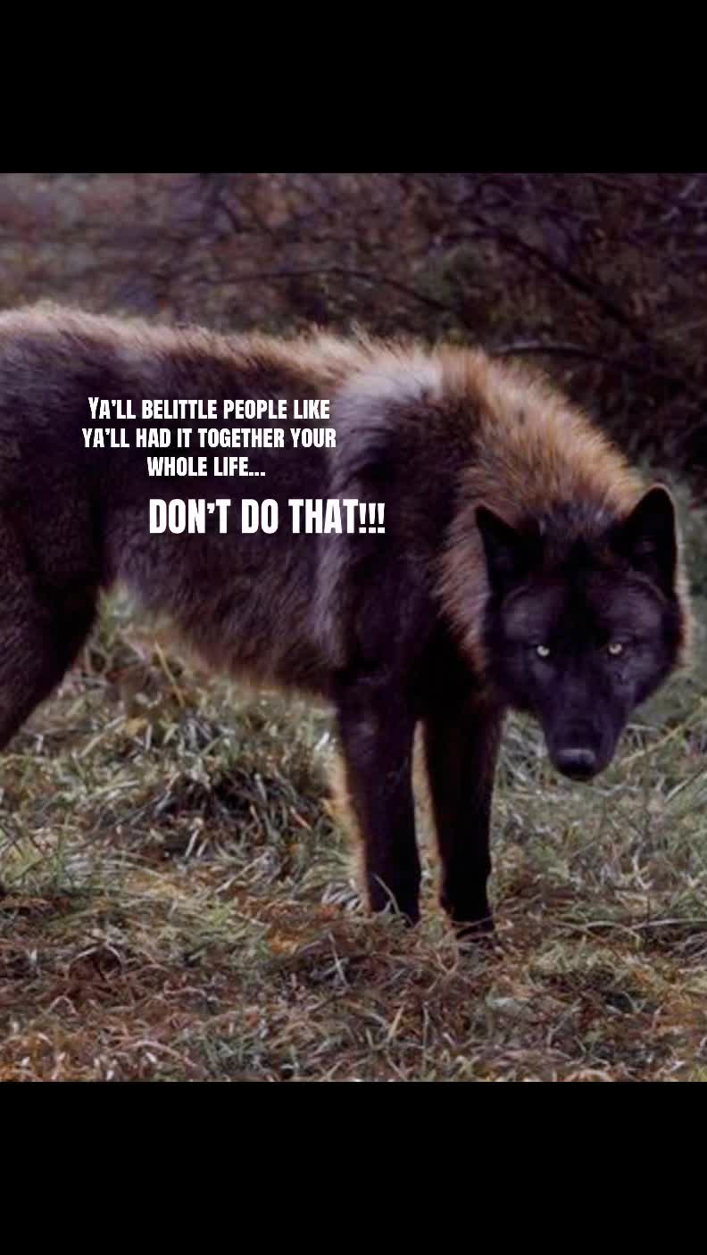 @🪬Conscious_LoneWolf🐺