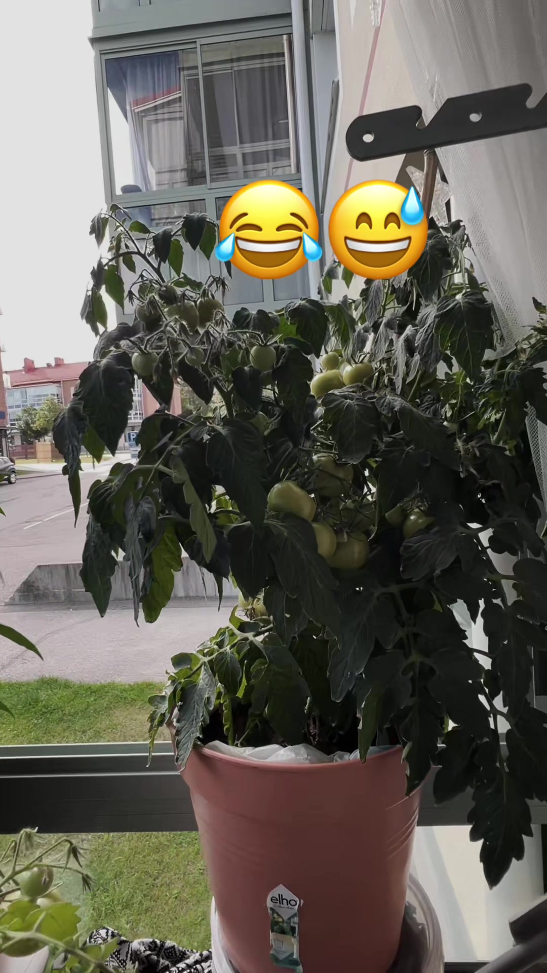 @Bimala Khatri
