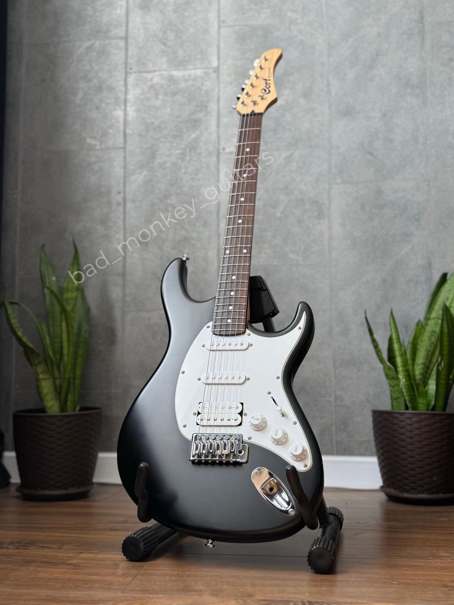 @Bad Monkey Guitars